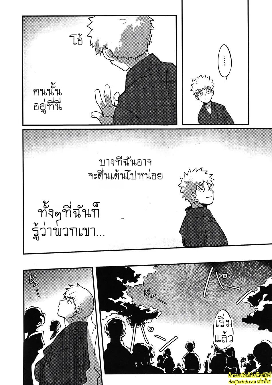 ดอกไม้ไฟแสนงดงาม-24